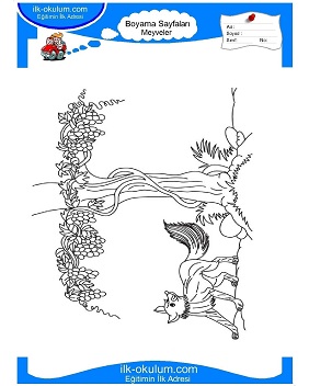 Çocuklar İçin üzüm Boyama Sayfaları 